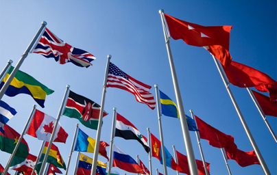 Premium Website Template