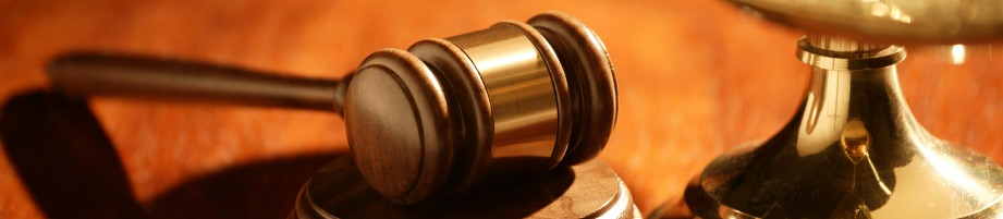 Premium CSS Template